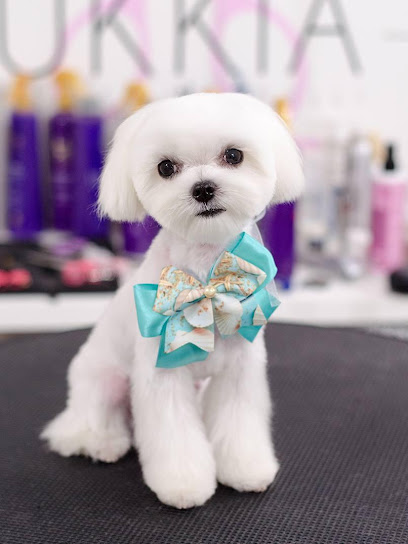 Ukkia Porto Rotondo Pet Boutique e Toelettatura