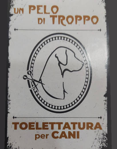 un pelo di troppo genova