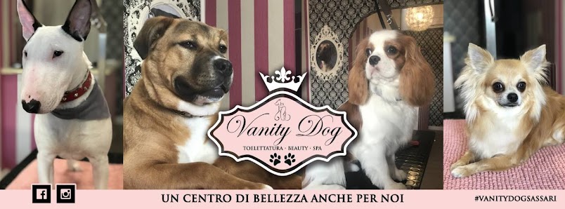 VANITY DOG SPA