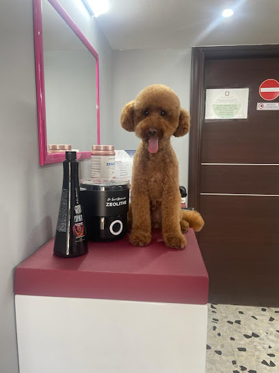 Vanity Dogs Beauty & Spa