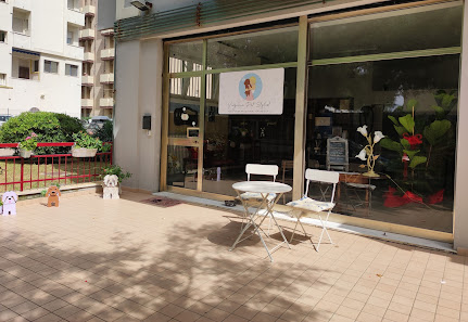 Virginia Pet Stylist Toelettatura professionale per cani e gatti