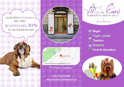 Vita Da Cani - Toelettatura di Giulia Moraca