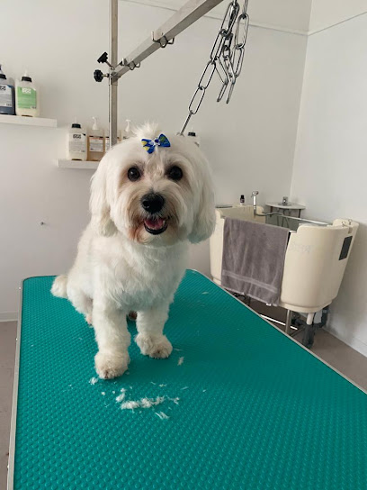 Vita da Cani Toelettatura & Spa
