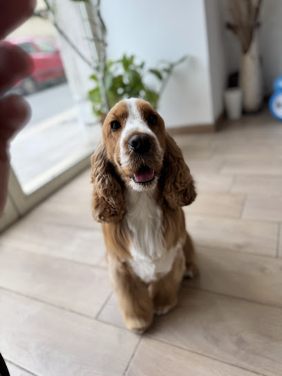 VitadaCani - Grooming Relax & More