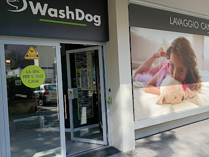 Wash Dog Chiasso
