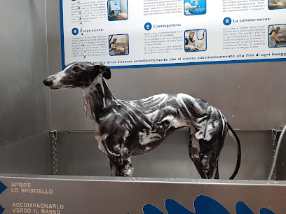Wash Dog Cremona - Lavaggio cani self service