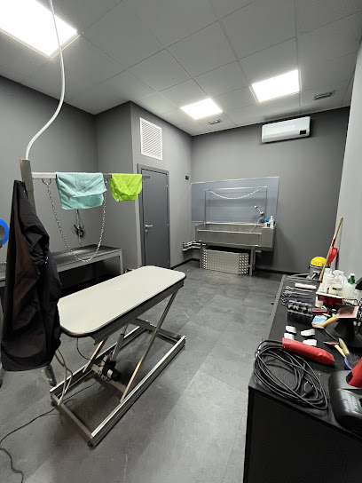 Wash Dog Milano San Siro