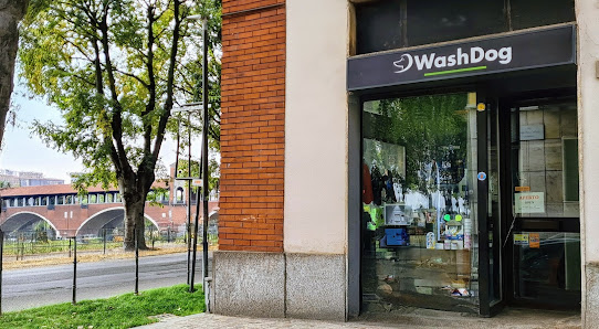 Wash Dog Pavia II