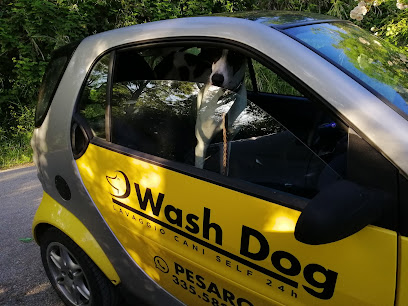 Wash Dog Pesaro
