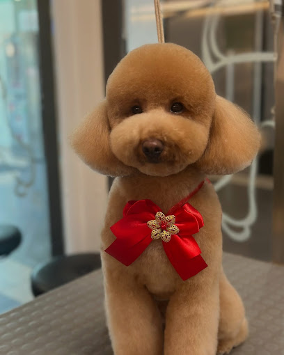 Wash Dog Rimini - Lavaggio Cani self-service e Toelettatura Professionale