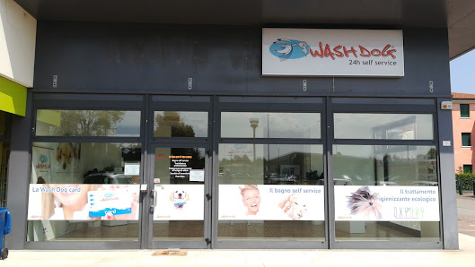Wash Dog Treviso
