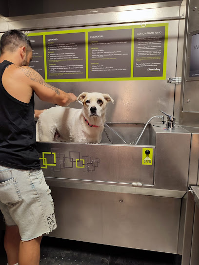 Wash Dog
