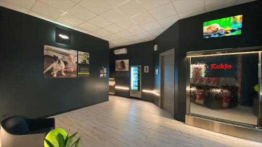 WashDog Busto Arsizio