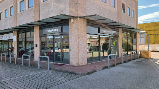 WashDog Marghera di Cristina Zamengo