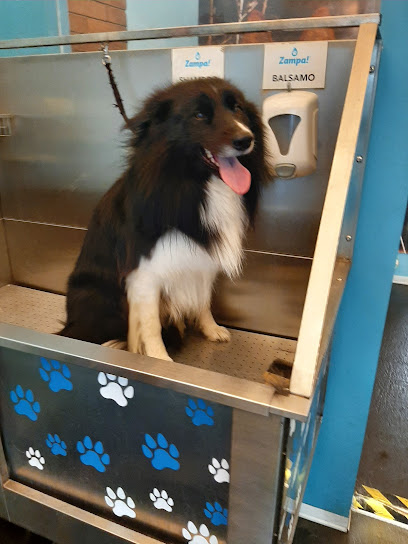 Zampa! Dog Wash Self-Service