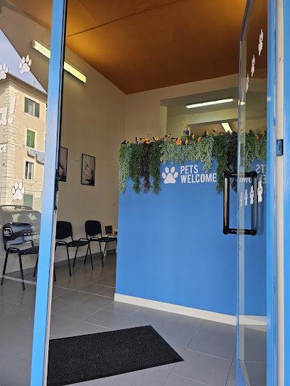 Zampa! Dog wash self service