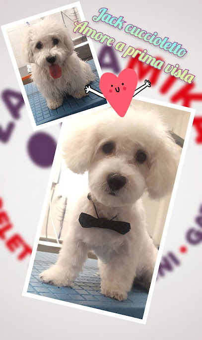 Zampamika di Micaela Ceppi