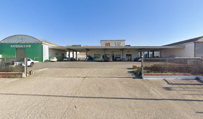 Zampe in Vasca di Donatella Finca