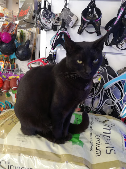 ZavaRoby Pet Station