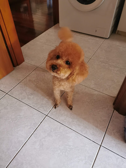 Zoo San Siro Di Leomanni Massimo