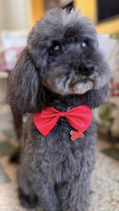 Zoolandia Di Raffaella Corfini