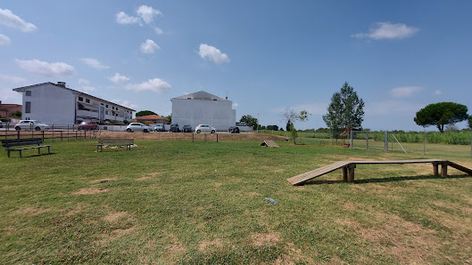 area sgambatura cani