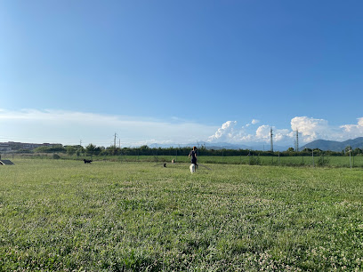 area sgambatura cani