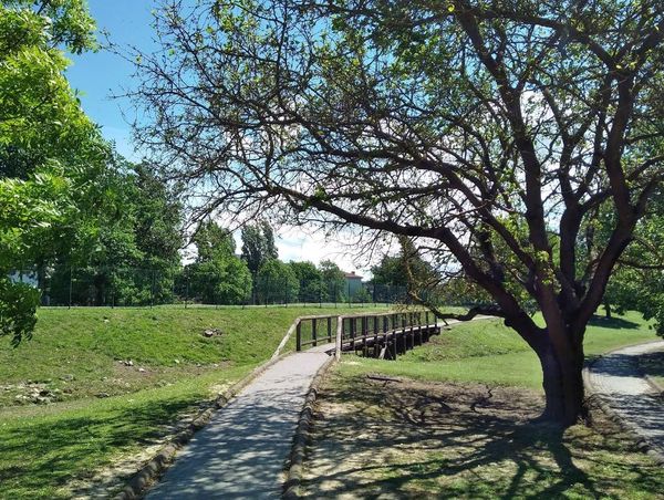 forli parco