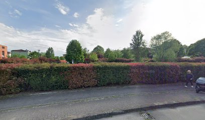 parco Area recintata per cani