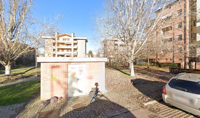 parco Area recintata per cani