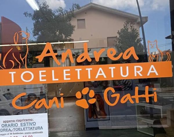 toelettatura andrea